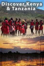 Tours and Safaris in Kenya