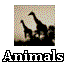 Click to view wild animals found in africa